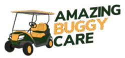 Amazingbuggycare